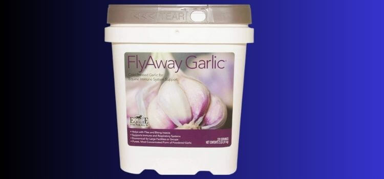 5 best garlic for horses