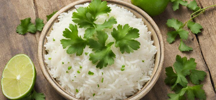 Can Dogs Eat Cilantro Lime Rice?