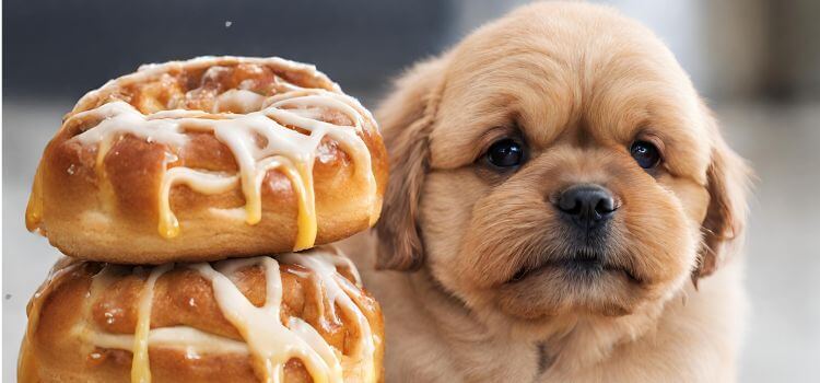Can Dogs Eat Honey Buns?