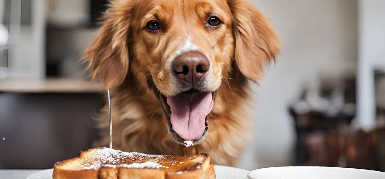Can dogs have French toast?