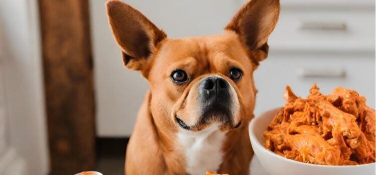 Can Dogs Have Buffalo Chicken?