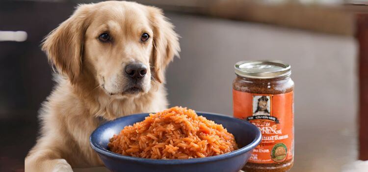 Can Dogs Eat Spanish Rice?