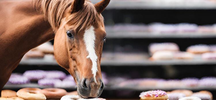 Can Horses Eat Donuts?