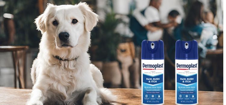Can I Use Dermoplast on My Dog?