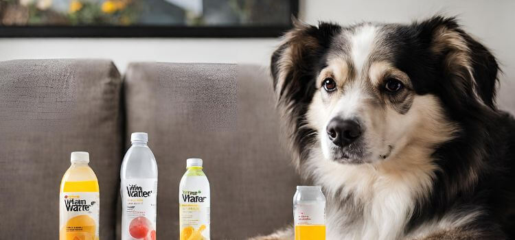 Can dogs drink vitamin water?